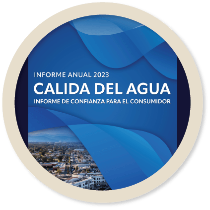 2023 CCR Spanish Circular Preview