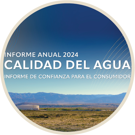 2024 Spanish CCR Thumbnail